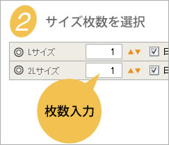 サイズ枚数を選択